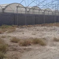 گلخانه/شهرک گلفام|فروش دفتر صنعتی، کشاورزی، تجاری|پاکدشت, پاکدشت (مامازند)|دیوار