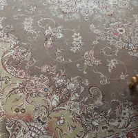 دو تخته فرش ۱۲متری|فرش|قم, نخودی|دیوار