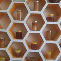 عسل و فراوردهای عسلی (هیر بال )اردبیل و سراب