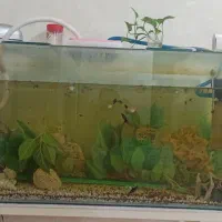 آکواریوم با وسایل کامل