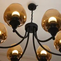۶ شاخه