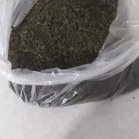قورمه سبزی سرخ شده خوش طعم و عطر و تمیزوبهداشتی|خوردنی و آشامیدنی|نیشابور, دهنو|دیوار