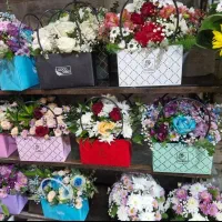 باکس گل ویژه روز دختر|گل و گیاه طبیعی|تهران, مهرآباد جنوبی|دیوار