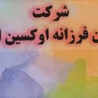 استخدام ماشین استیجاری نیسان