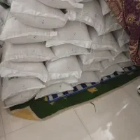 برنج محلی گرگان فجر سوزنی