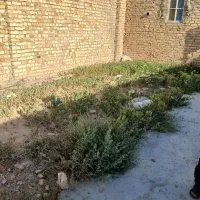 زمین-فروشی