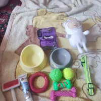 وسایل سگ بدون استفاده