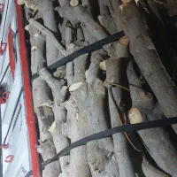 چوب برای تولید زغال