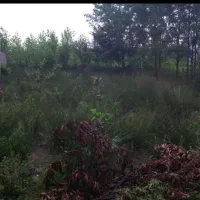 ۳۶۰مترزمین قلعه رودخان (ملسکام)فروش معاوضه