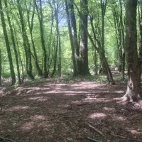 تور گردشگری