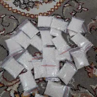 پودر شپش