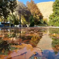 سوییت-روزانه-روی-خیابان-اصلی