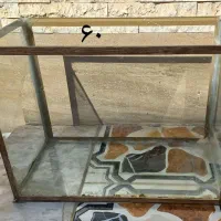 آکواریوم تمیز|ماهی|شهرضا, |دیوار