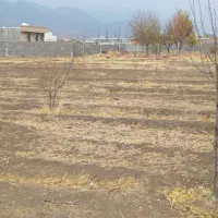 ۱۲۵۰ متر زمین چسب طرح هادی سیاه بید علیا