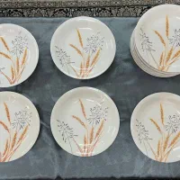 ۱۸ عدد بشقاب ملامین گل گندمین قالب امریکایی|ظروف سرو و پذیرایی|رشت, پورسینا|دیوار