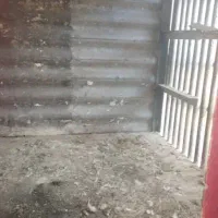 قفس محکم و سنگین کبوتر مرغ|لوازم جانبی حیوانات|اهواز, منازل کارون|دیوار