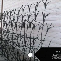 ویژه.شاخ گوزنی.شاخگوزنی.زیبا.مطمئن