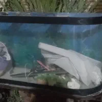 آکواریوم با وسایل کامل با پایه