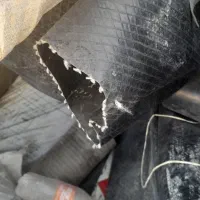 لوله نخی۵.۵اینج|خدمات باغبانی و درختکاری|کوهدشت, |دیوار