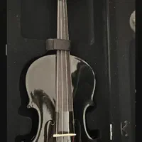 ویالن رنگ مشکی