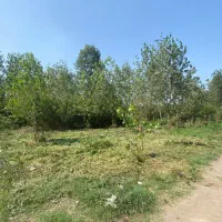 فروش-زمین-به-متراژ-837-در-لوکلایه