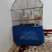 قفس|لوازم جانبی حیوانات|قیدار, |دیوار