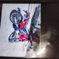 تریل فروش یا معاوضه میشود