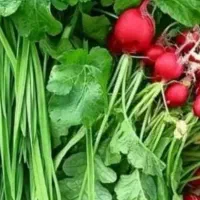 سبزی سرخ کرده بابسته بندی بهداشتی
