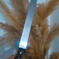 چاقو