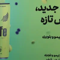 راننده نیسان شرکت صداقت پیشه فارس