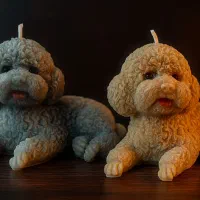 شمع های دست ساز و معطر|صنایع دستی و سایر لوازم تزئینی|تهران, سازمان آب|دیوار