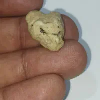 مهره (زوعه مار)اصل|کلکسیون اشیاء عتیقه|برازجان, |دیوار