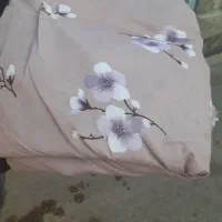 ازبانه تاخانه پرده|رختخواب، بالش، پتو|گنبد کاووس, |دیوار