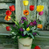 سلام سبد کالا بفروشم