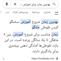 جوجه طوطی ملنگو|پرنده|بجنورد, |دیوار