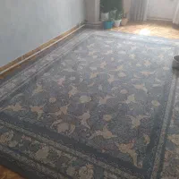 فرش|فرش|باقرشهر, |دیوار