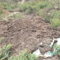 کود مرغی خشک خشک