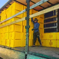 باسکت مخزن جعبه پالت سبد باسکت گالن بشکه پلاستیکی|عمدهفروشی|بندرعباس, |دیوار