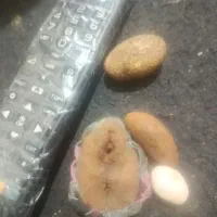 یاقوت کابلی