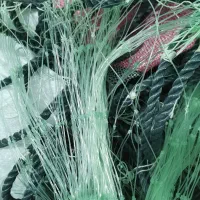 تور شیری و سنگسری