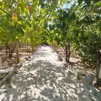 باغ-700-متری-فول-امکانات-با-درختان-مثمر