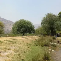 فروش زمین جاده دهبید