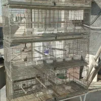 قفس هشت خان اردشیر