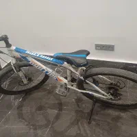 دوچرخ