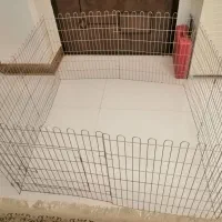 پارک بازی سگ