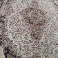 فرش ۹ متری قیطران ۱۲۰۰ شانه|فرش|قم, تولید دارو و یخچال|دیوار