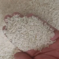 برنج صدری سرخه محلی صحنه