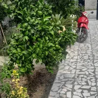 فروش-خونه-ویلایی