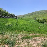 زمین مسکونی/ دیکین