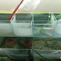 آکواریوم فایتر